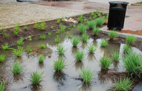 Stormwater Control in Lynchburg, Virginia